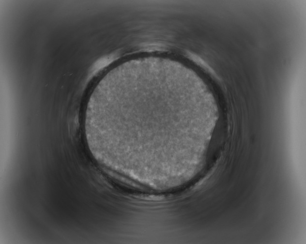 X0000086221261200704261829