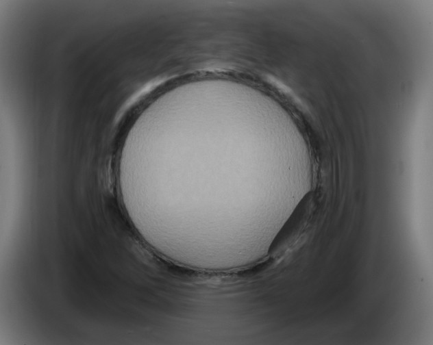 X0000086221262200704261829