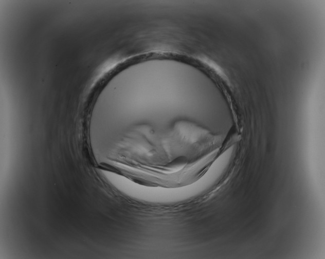 X0000086221263200704261829