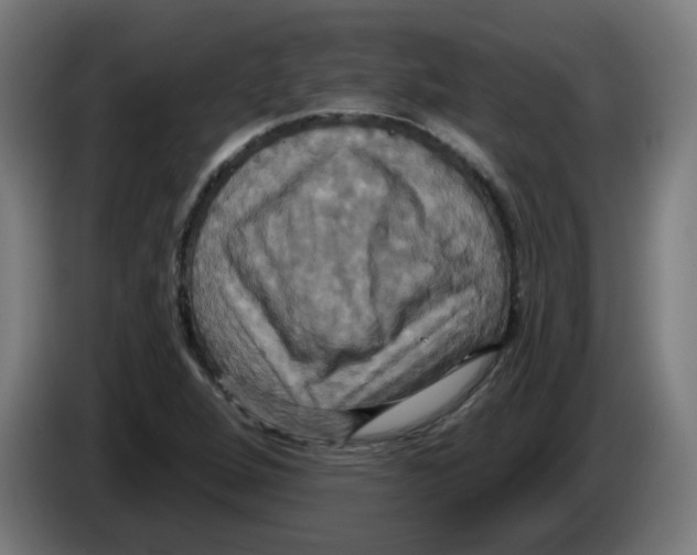 X0000086221264200704261829