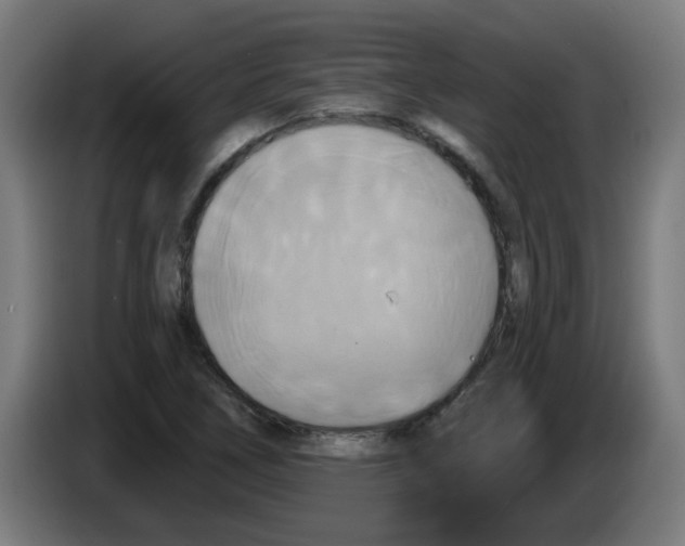 X0000086221266200704261829