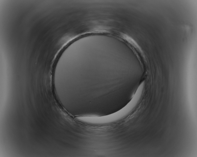 X0000086221268200704261829