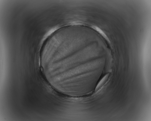 X0000086221269200704261829