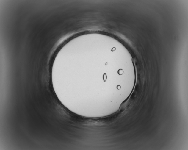 X0000086221270200704261829