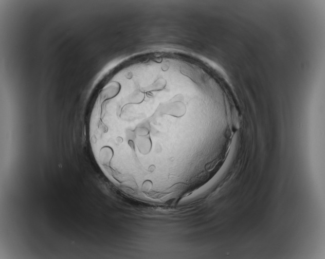 X0000086221271200704261829