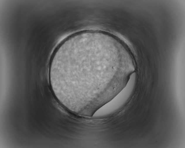 X0000086221272200704261829