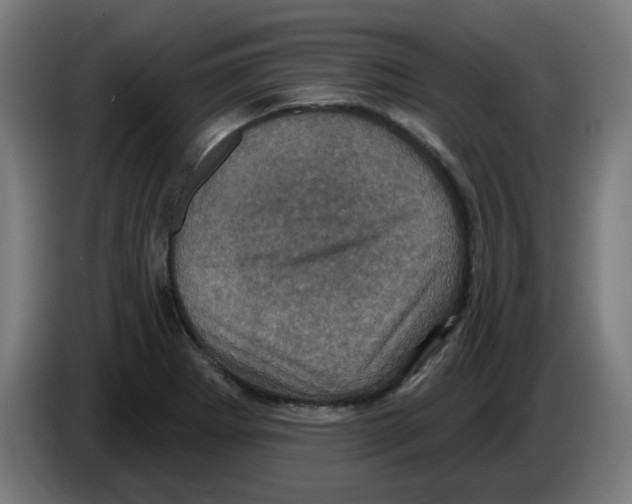 X0000086221273200704261829