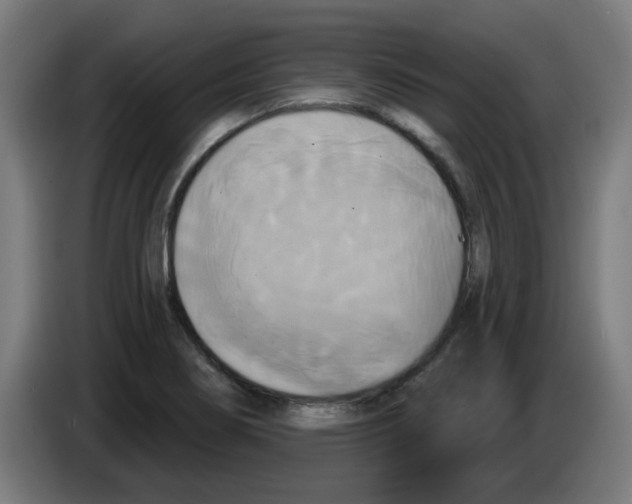 X0000086221274200704261829