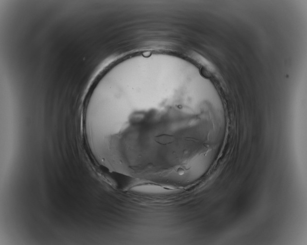 X0000086221275200704261829