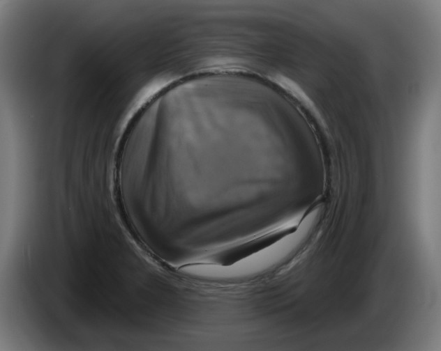 X0000086221277200704261829