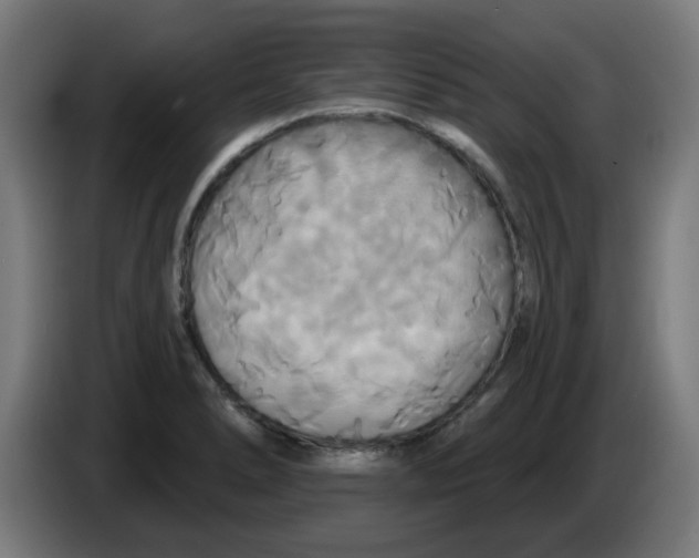 X0000086221278200704261829