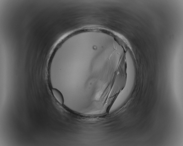 X0000086221279200704261829