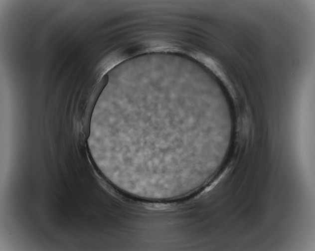 X0000086221281200704261829