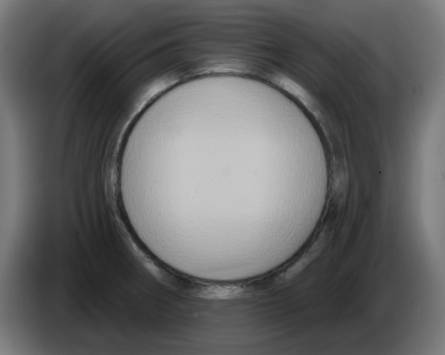 X0000086221282200704261829