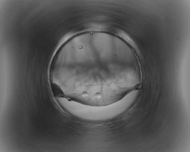 X0000086221283200704261829