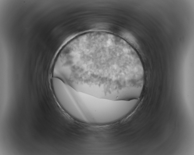 X0000086221284200704261829