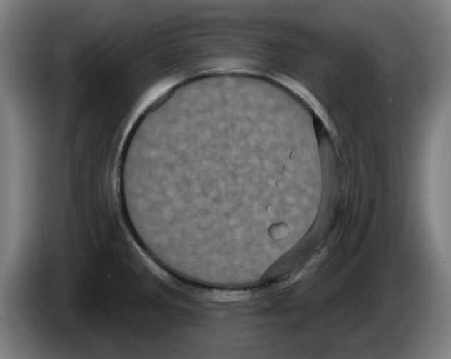 X0000086221285200704261829