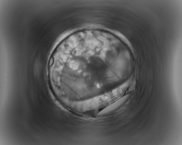 X0000086221287200704261829