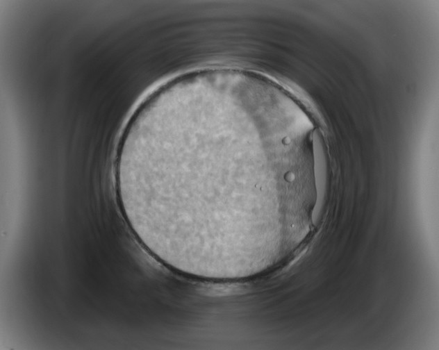 X0000086221288200704261829