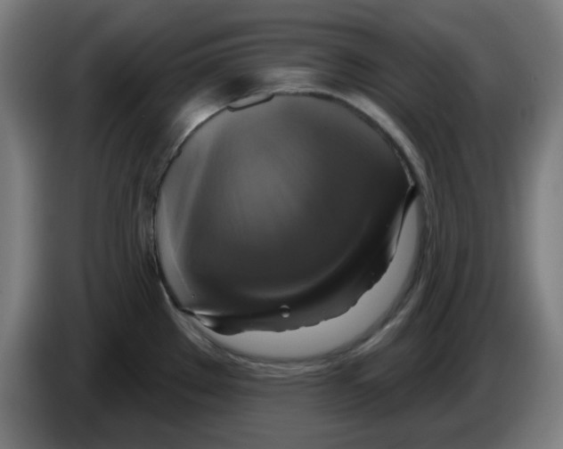 X0000086221289200704261829