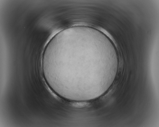 X0000086221290200704261829