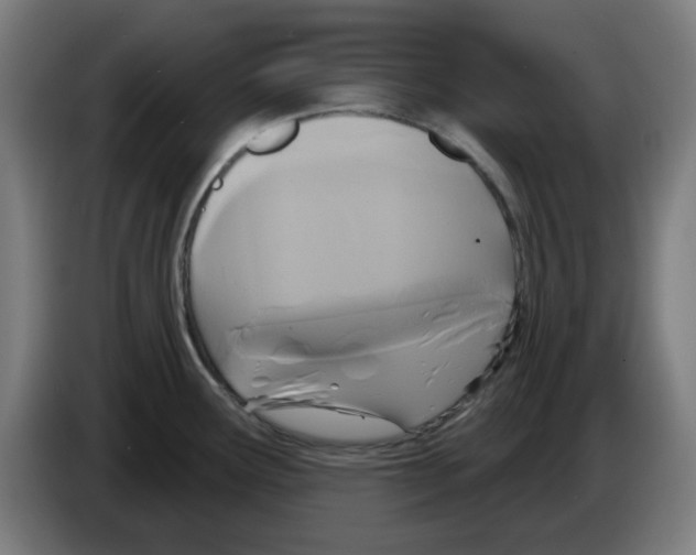 X0000086221291200704261829