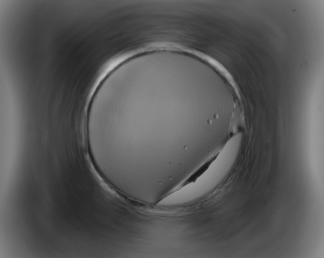 X0000086221295200704261829