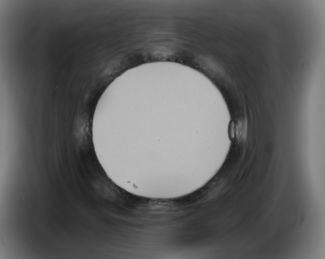 X0000086221299200704261828