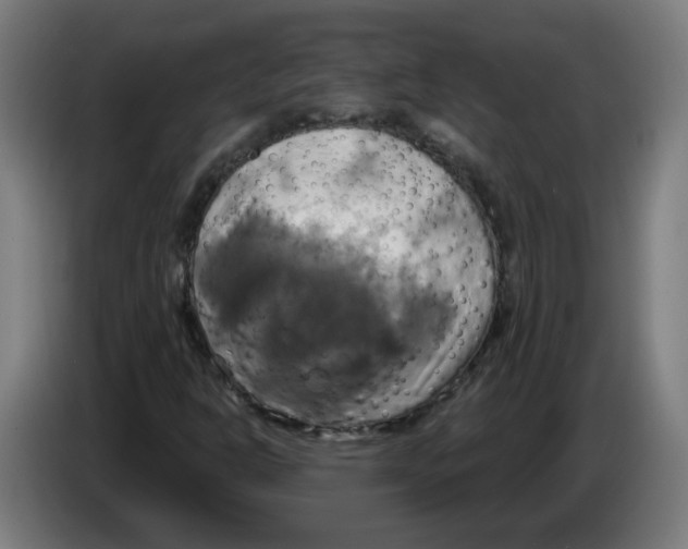 X0000086221302200704261828