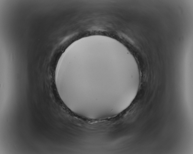 X0000086221303200704261828