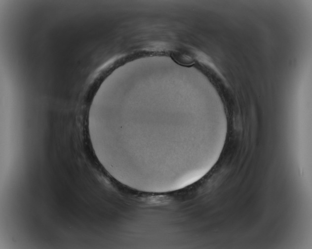 X0000086221304200704261828