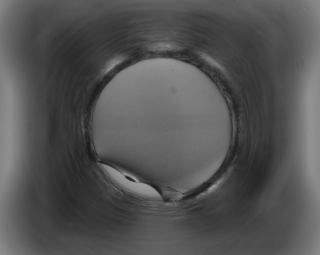 X0000086221305200704261828