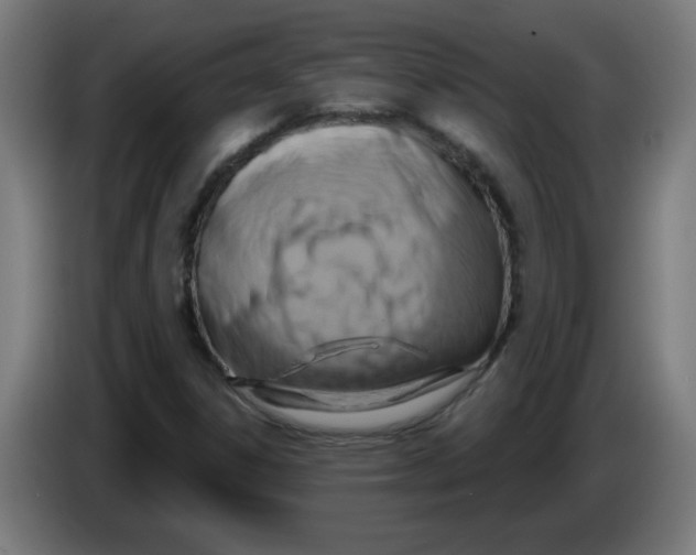 X0000086221306200704261828