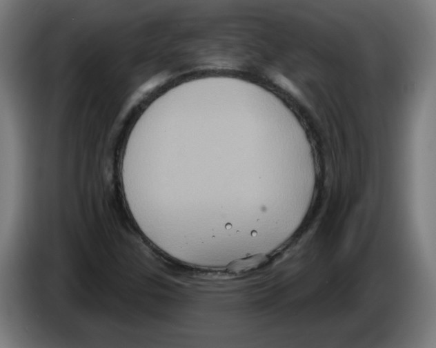 X0000086221307200704261828