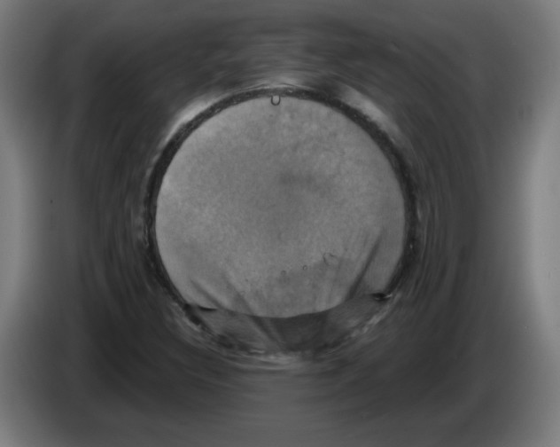 X0000086221308200704261828