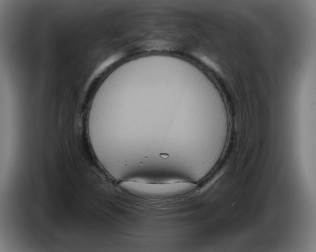 X0000086221309200704261828