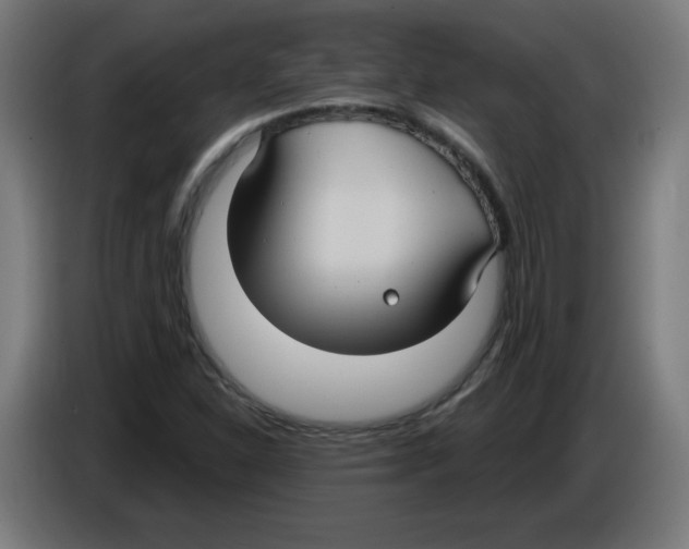 X0000086221310200704261828