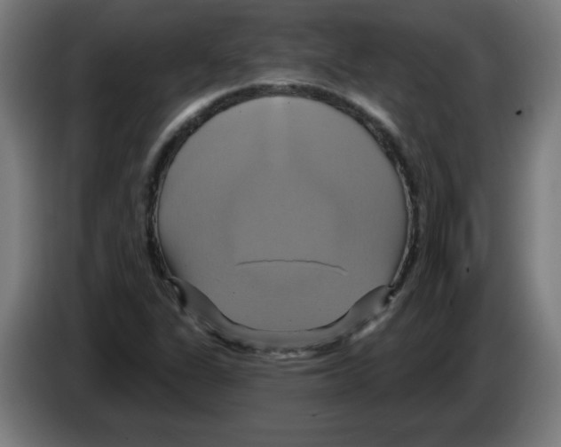 X0000086221311200704261828