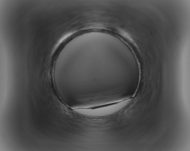 X0000086221312200704261828