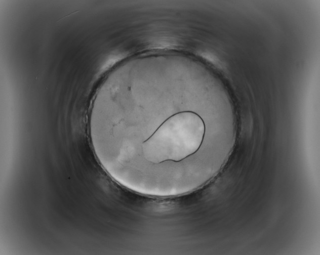 X0000086221314200704261828