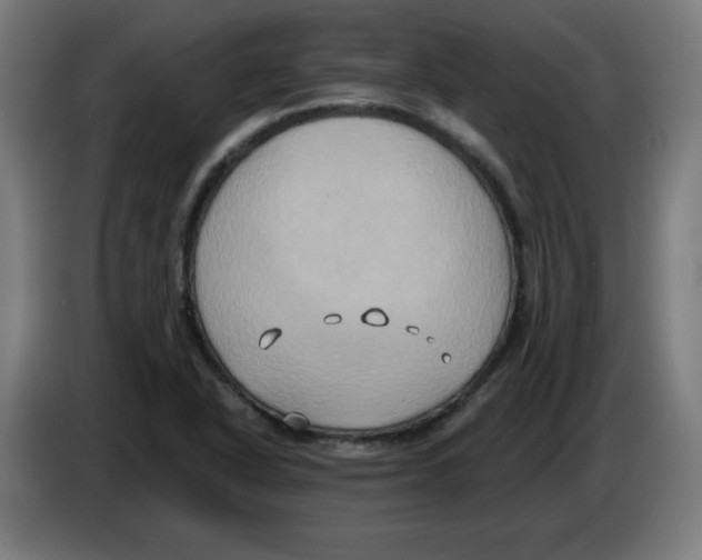 X0000086221318200704261828