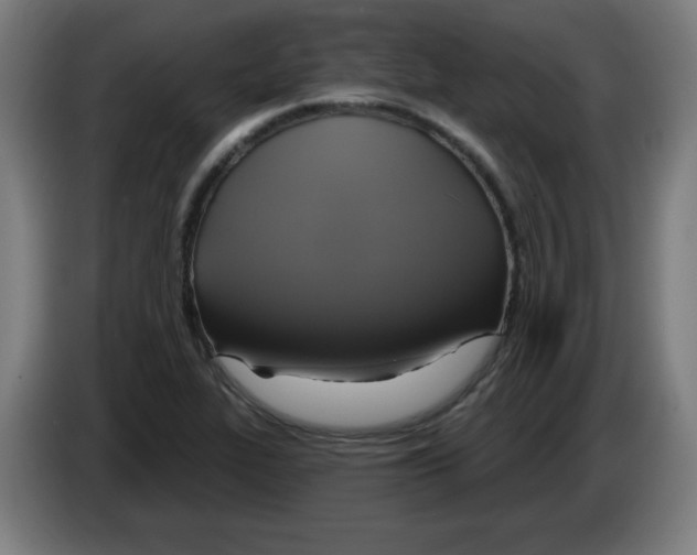 X0000086221319200704261828