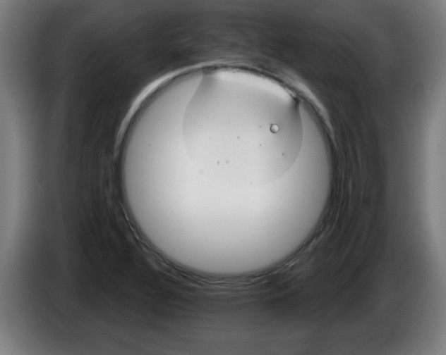 X0000086221320200704261828