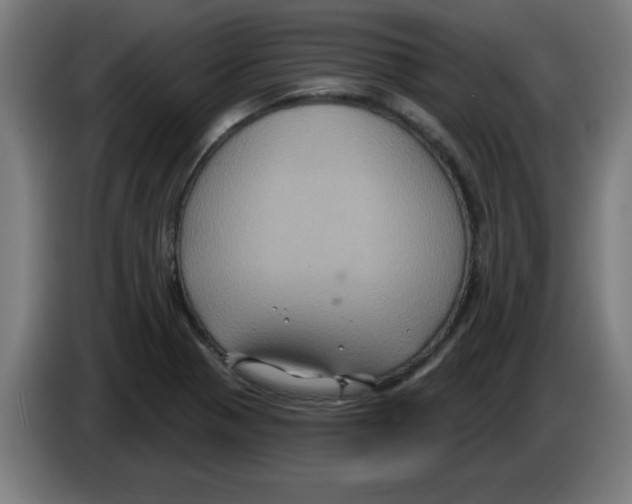 X0000086221321200704261828