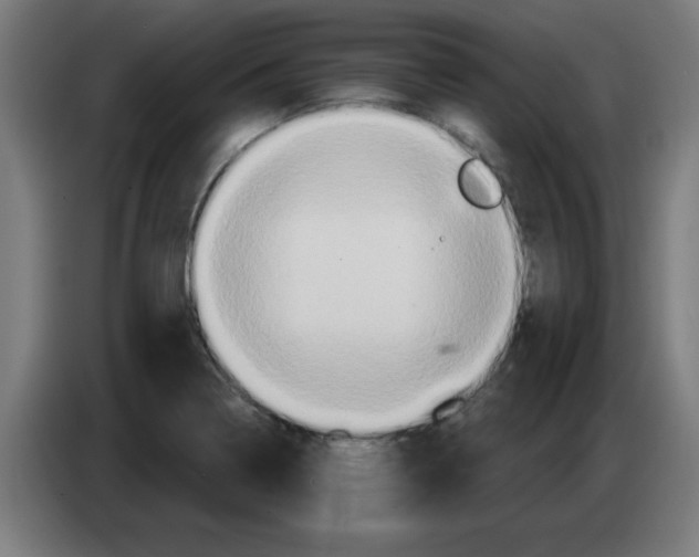 X0000086221322200704261828