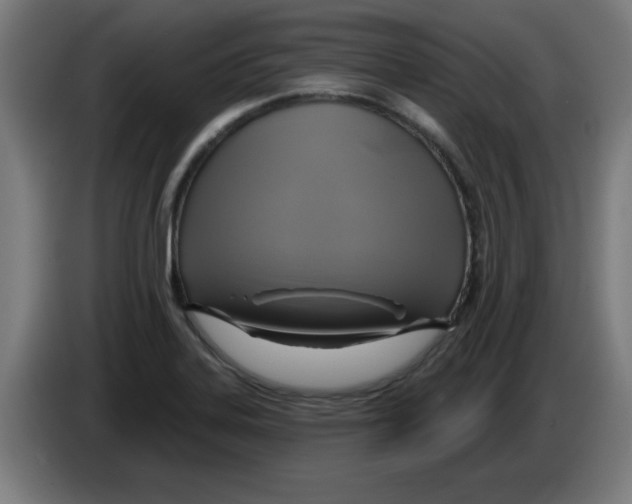 X0000086221323200704261828