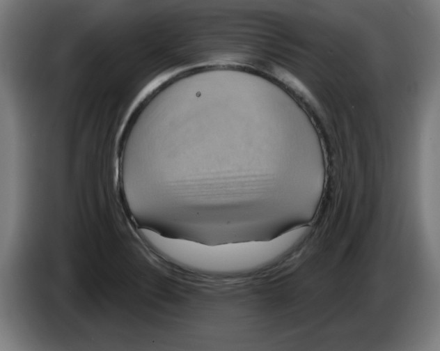 X0000086221324200704261828