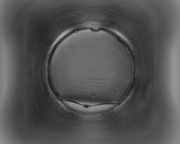 X0000086221325200704261828