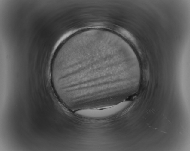 X0000086221328200704261828