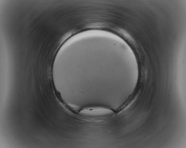 X0000086221329200704261828